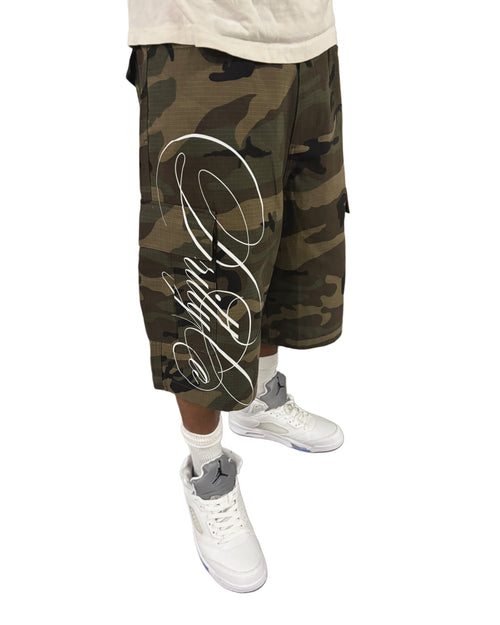 DRLYCO CARGOS WTE